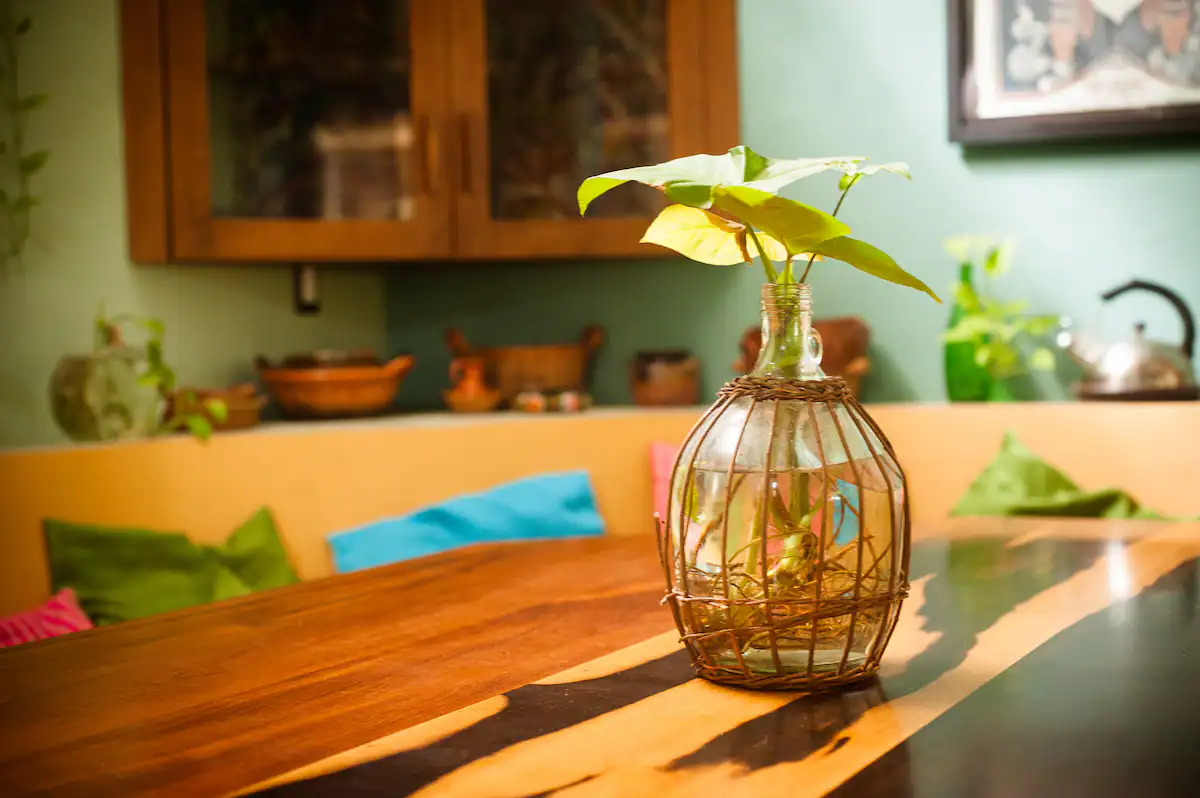 Kitchen detail Casa de las Orquídeas