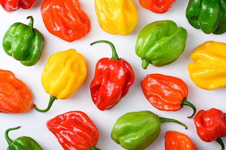Chile habanero del archivo TuuxMahahual