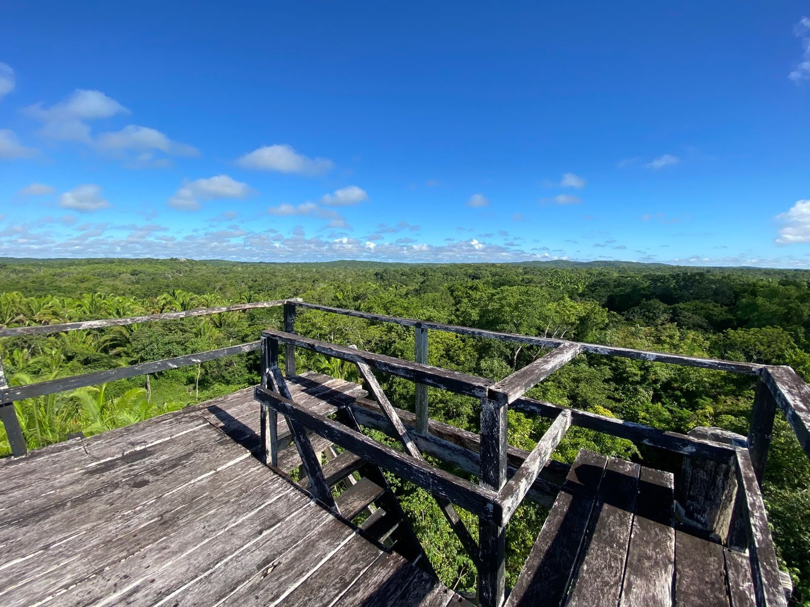 Vista panorámica de la selva desde un mirador en Ichkabal Quintana Roo