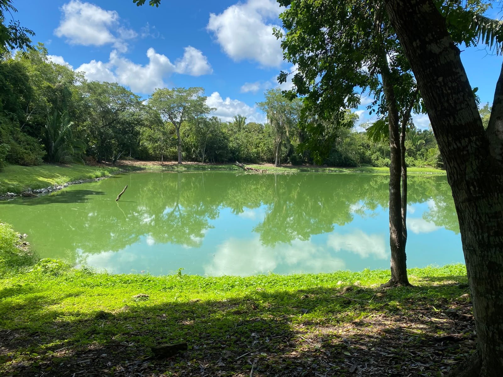 Aguada rodeada de selva en la zona arqueológica de Ichkabal