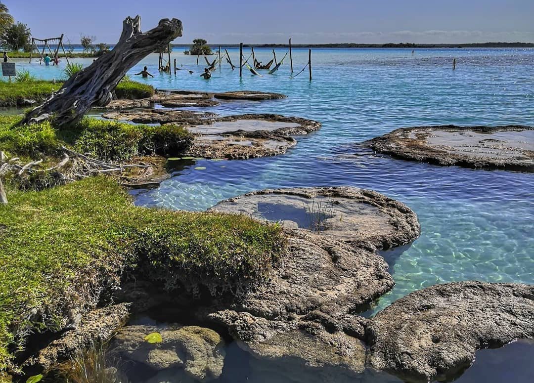 Microbialites beneath the clear water of Bacalar Lagoon