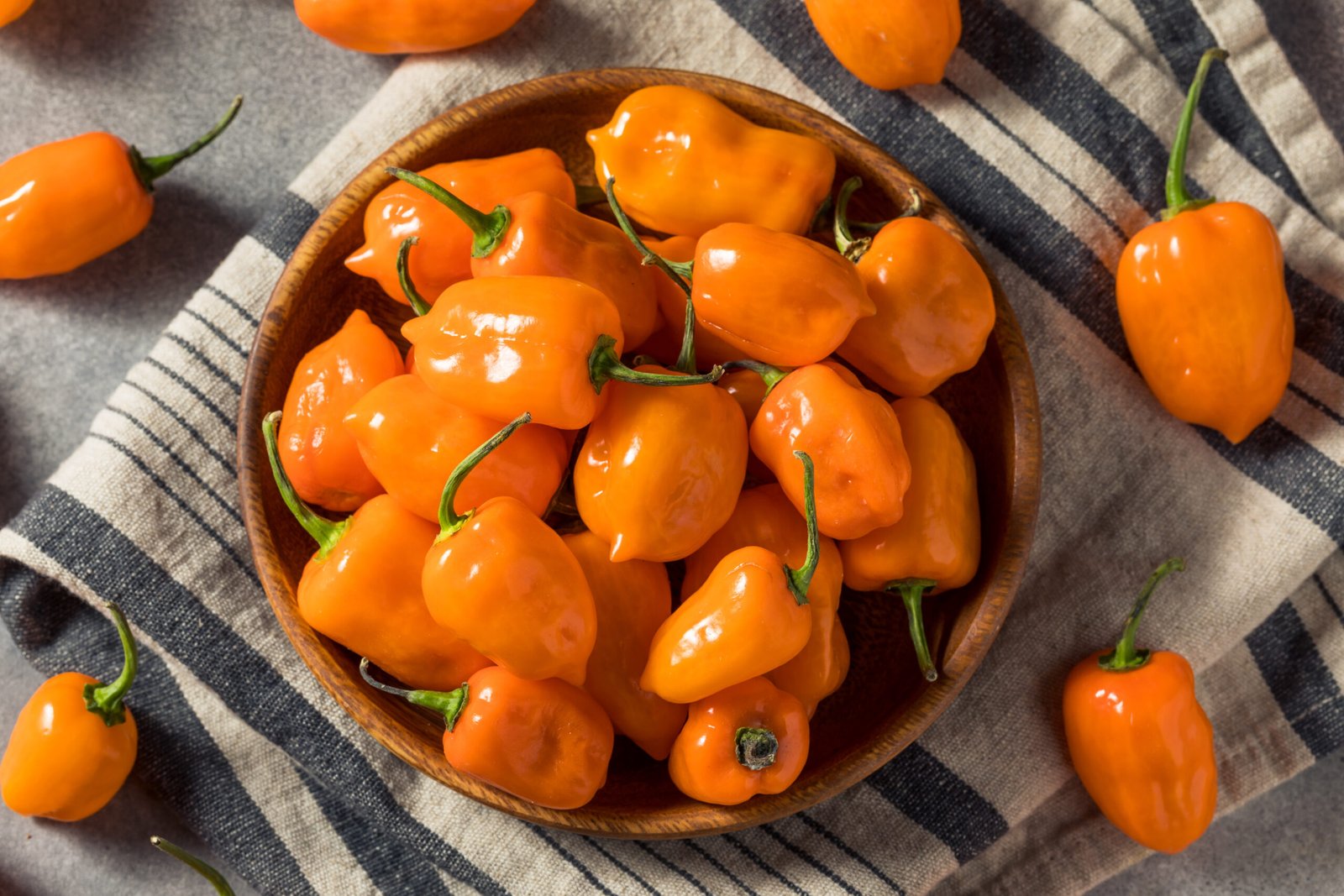 Chiles habaneros maduros en un recipiente de madera