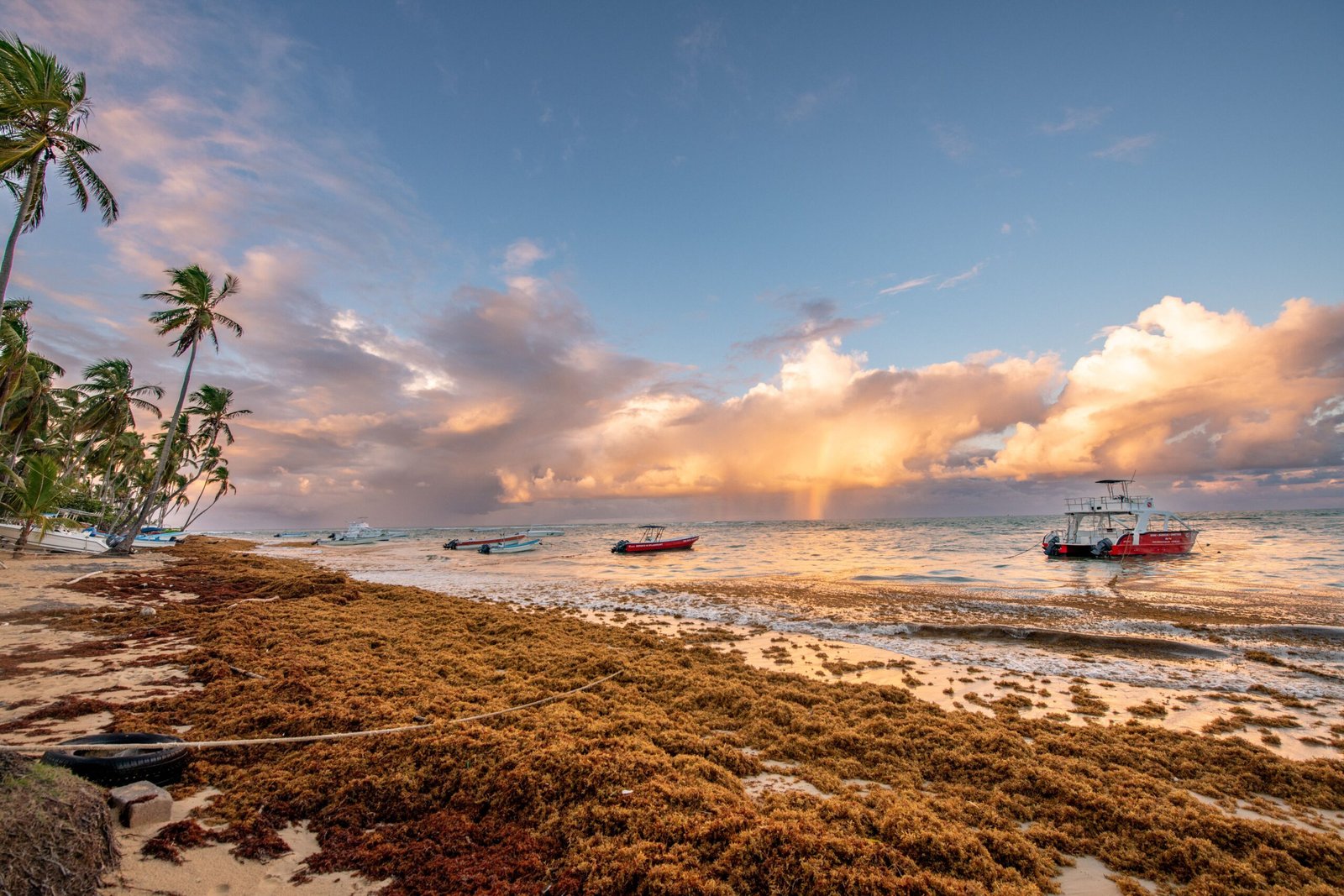 Playa tropical del Caribe con palmeras y embarcaciones