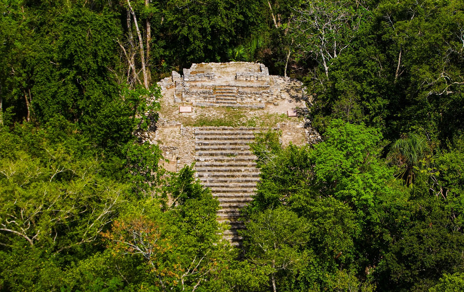 Vestigios arqueológicos de Oxtankah rodeados por vegetación tropical